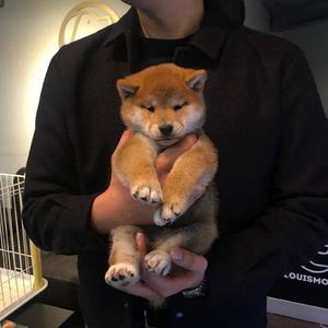 污视频在线看免费
